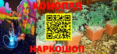 ГАЛЛЮЦИНОГЕННЫЕ ГРИБЫ Нижний Тагил