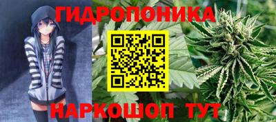 ГАЛЛЮЦИНОГЕННЫЕ ГРИБЫ Новоалександровск
