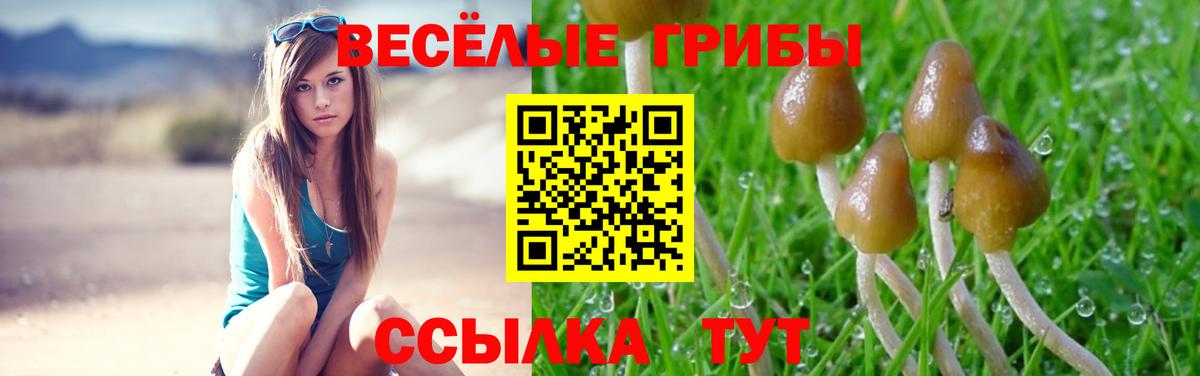 Псилоцибиновые грибы мицелий  Вход с VPN  Котовск 