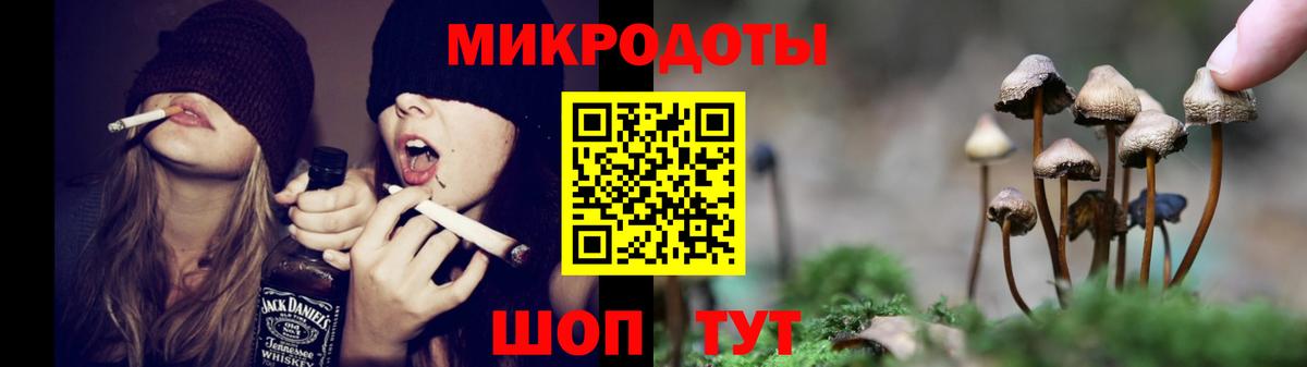 Псилоцибиновые грибы Psilocybine cubensis Котовск